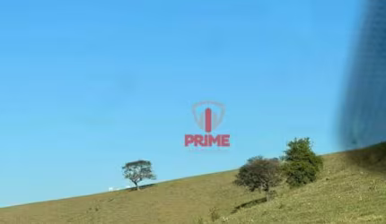Fazenda à venda em Bandeirantes no Paraná.   - Com 98 alqueires,  formada no pasto