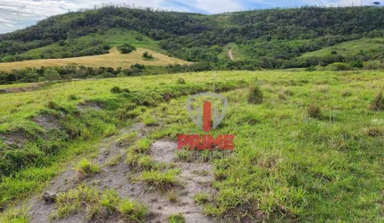 Sítio à venda em São Jerônimo da Serra no Paraná.  Com 20 alqueires, hoje tudo em pasto, Já foi plantado 13 alqueires.