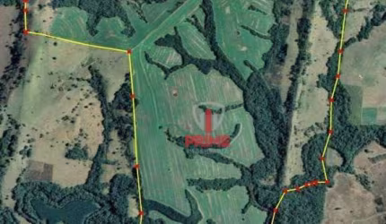 Fazenda à venda em Sapopema no Paraná. Com 101 alqueires plantando 60 chega a 75, 4km da cidade.   $150.000,00 o alqueire, 40% de entrada mais 2 pagam