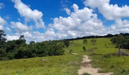 Fazenda à venda em Reserva no Paraná. Com 214 alqueires, 40 alqueires de lavoura a plantar, próximo do asfalto, bem formada, Rica de água.  R$ 17.000.