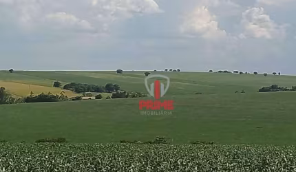 Fazenda à venda na Região de Maringá no Paraná. Com 100 alqueires, 80 alqueires de plantio, 10 alqueires de pasto, com benfeitorias, 60 km de Londrina