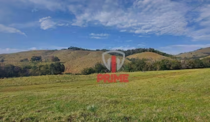 Fazenda à venda em Nova Tebas no Paraná. Com 356 alqueires, formada na pecuária, cercas paraguaias novas, casas de funcionários, casa sede, divisões d