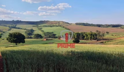 Fazenda à venda em Faxinal  - PR. Com 223 alqueires, 140 de plantio, 35 alqueires de pasto sujo, Terra roxa.  2.500 sacas o alqueire.