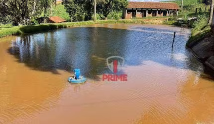 Sítio à venda em São Luiz, Londrina no Paraná. Com confinamento 140 cabeças, 5 baias, 2 trincheira de Silo, barração, 9 piquetes, corredor. 1,5 alquei