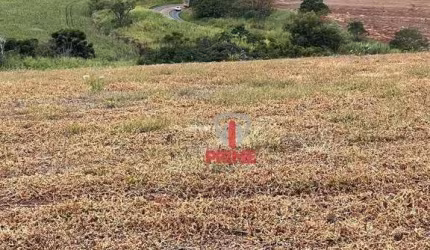 Sítio à venda em Lerrovile, distrito de Londrina. Com 14 alqueires, sendo 11,4 alqueires de plantio, 600 metros de testada com asfalto.  R$ 4.000.000,