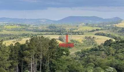 Fazenda à venda em Tamarana no PR. Com 130 alquieres, 40 alqueires aberto de plantio, 10 alqueires de pasto.  750m de altitude, com casa sede simples,