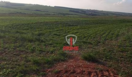 Fazenda à venda em Florestópolis no Paraná. Com 88 alqueires de plantio, sem perca. R$ 200.000,00 o alqueire. Entrada + 2 pagamentos.
