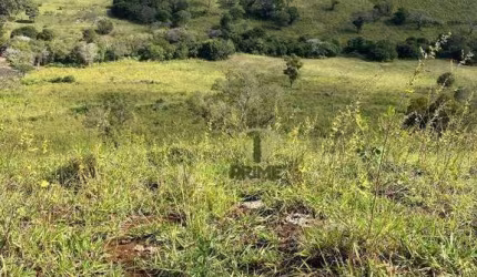 Sítio à venda em Bela Vista do Paraíso no Paraná. Com 17 alqueires em pasto com mangueira, todo cercado nas divisas e rico em água.