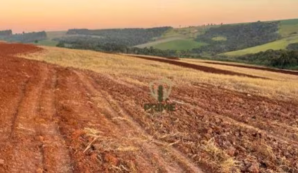 Sítio à venda em Mauá da Serra.   - Com 35 alqueires sendo 27 alqueires de plantio. 890 metros de altitude.  - Campo de semente.