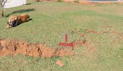 Sitio à venda na Região de Jacarezinho no Paraná.