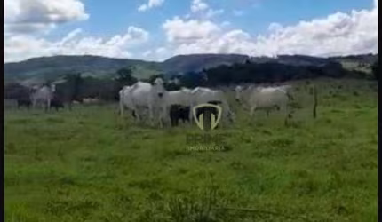 Fazenda à venda em Reserva no Paraná.   - Com 225 alqueires, aberto em torno de 150 alqueires.