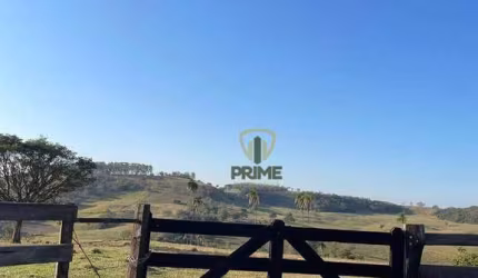 Fazenda à venda em Bandeirantes no Paraná.   - Com 98 alqueires, formada no pasto