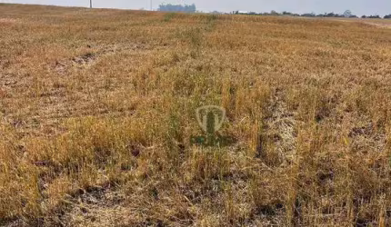 Área urbana e rural à venda no Distrito de San Martin em Rolândia no Paraná. Com 3 alqueires, 100% regularizado como urbano, 2 km da cidade e na Beira