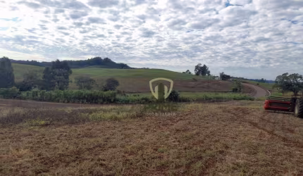 Fazenda à venda em São Miguel do Oeste em Santa Catarina.    - Com 530 alqueires, sendo 6 matrículas, 130 alqueires de plantio hoje e abre mais 80 à 1