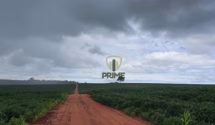 Fazenda à venda em Iguatemi no MS. Com 1.500 alqueires e plantando 1.000.  Estuda forma de pagamento.