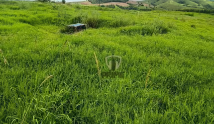 Fazenda à venda em Cândido de Abreu - Paraná.   - Com 216 Alqueires, sendo 145 Alqueires de pasto alto