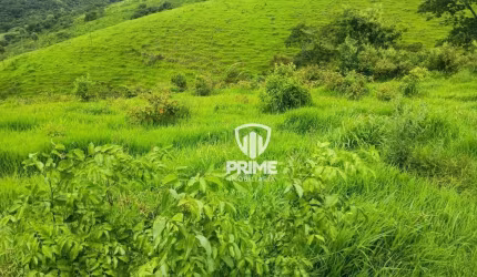 Fazenda à venda em Reserva-PR.   - Com 215 alqueires