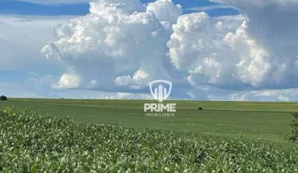 Fazenda à venda em Sertaneja-PR.   - Com 150 alqueiresde plantio a 2 KM do asfalto