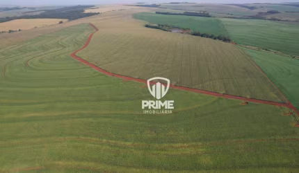 Fazenda à venda em São Martinho - cidade de Rolândia.   - Com 168 alqueires, 147 alquieres de plantio
