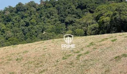 Fazenda à venda em Faxinal no Paraná. - Com 88.9 alqueires.