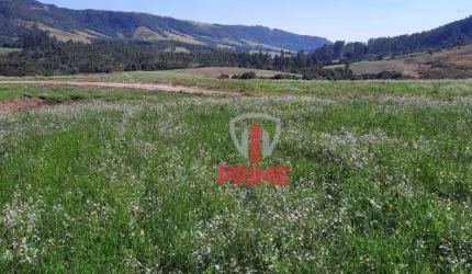 Fazenda à venda em São Jeronimo da Serra no Paraná. Com 48 Alqueires, 20 alqueires de plantio, restante pasto e mata. 50% na entrada, 1 ano restante.