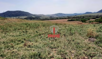 Sítio à venda em Faxinal no Paraná. Com 22 alqueires plantando 17, topografia: leve inclinação. Entrada + 2 pagamentos.