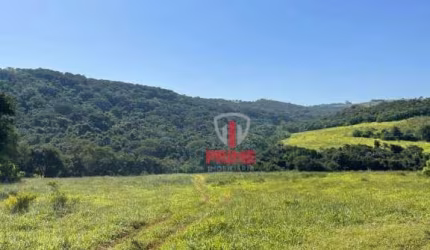 Sítio à venda em Jardim Alegre no Paraná.   - Com 200 alqueires, planta 80 - 50 alqueires de Pasto.