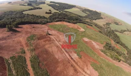 Sítio à venda em Maua da Serra no Paraná. Terra roxa, plantando 31 alqueires.