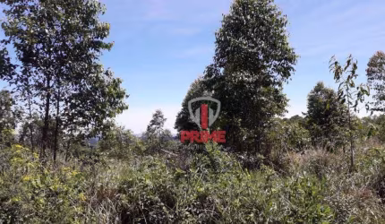 Fazenda à venda com 104 Alqueires por R$ 28.600.000 - Rural - São Jeronimo da Serra/PR