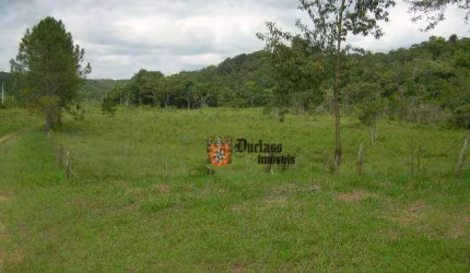 Área à venda, 194154 m² por R$ 11.650.000 - Parque Santa Rosa - Suzano/SP