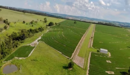 Fazenda ,agricultura,pecuária à venda, Centro, Marília - FA0165.