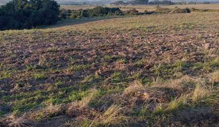 Fazenda Rural à venda, Parque Monte Bianco, Araçoiaba da Serra - FA0194.