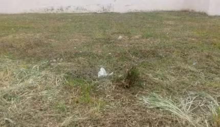 Terreno Residencial à venda, Jardim Prestes de Barros, Sorocaba - TE0486.