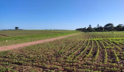 Fazenda à venda em Itapetininga/SP