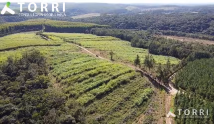 Sítio Rural à venda, Dos Almeidas, São Miguel Arcanjo - SI0174.