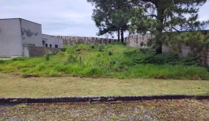 Terreno Residencial à venda, Taipas de Pedras (Mailasqui), São Roque - TE0771.