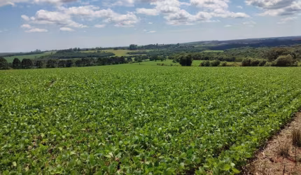 Fazenda à venda em Capão Bonito/SP