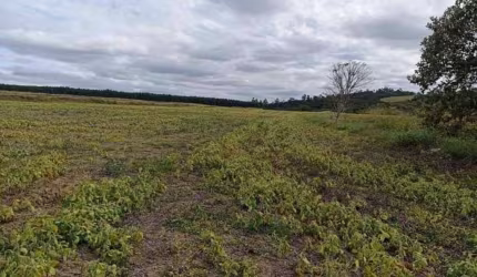 Sítio à venda em, Itapetininga/SP