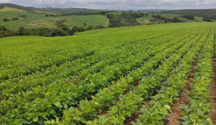 Sítio à venda em Pilar do Sul/SP