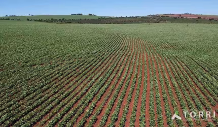 Excelente Fazenda á venda em Itai/SP