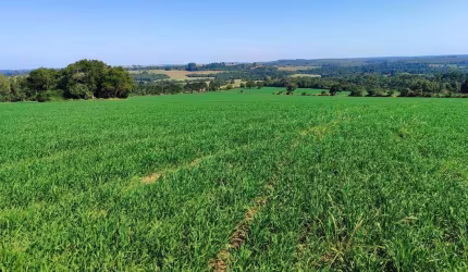 Fazenda á venda em Capão Bonito/SP