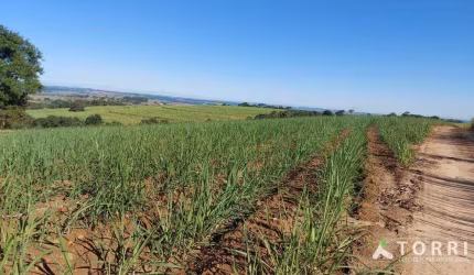 Fazenda com cana á venda em Capela do Alto/SP