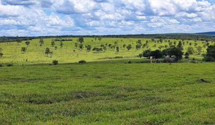 Fazenda à venda no Município de Bofete - SP