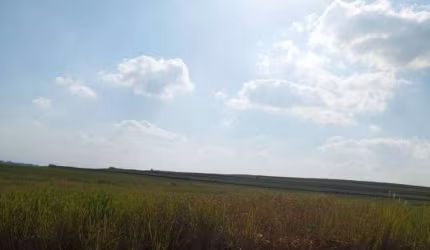 Fazenda com cana à venda no município de Quatá em, Presidente Prudente-SP