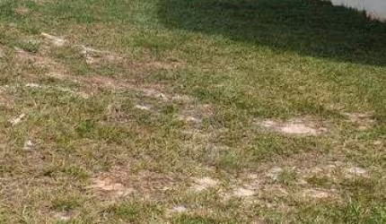 Terreno a venda no Parque Ibiti Reserva em Sorocaba/ sp