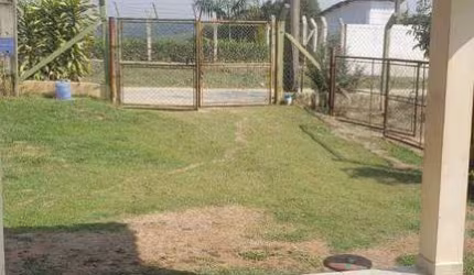 Fazenda com plantação de Milho a venda em Araçoiaba/sp