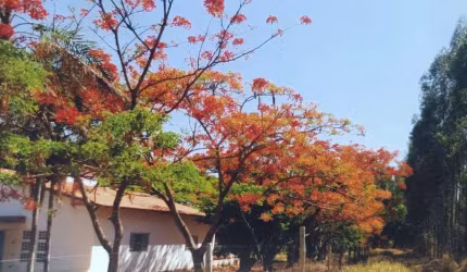 À venda Fazenda (Relicário) em Unaí-MG