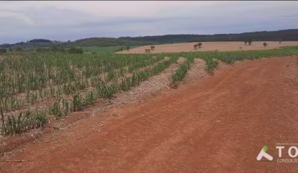 Excelente fazenda em cana à venda na região de Tatuí/SP