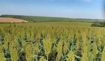 Fazenda à venda, 390 m² por R$ 20.930.000,00 - Centro - Capão Bonito/SP