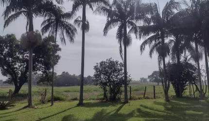 Sítio à venda em Itapetininga/SP